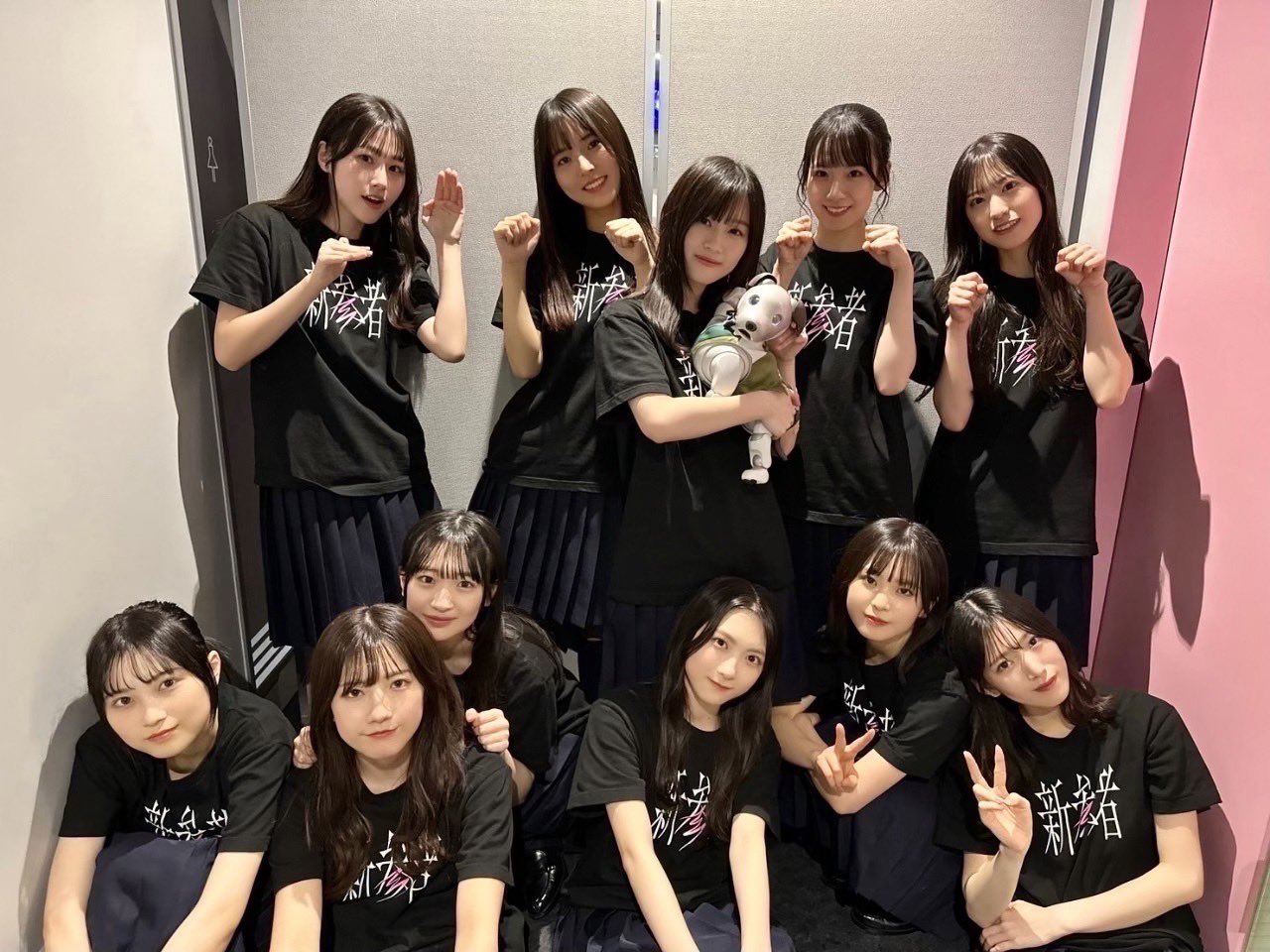 櫻坂46 三期生 マグネットシートセット 新参者 （商品詳細ページ